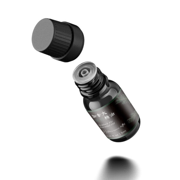 Hemlock Fir Essential Oil - Image 3