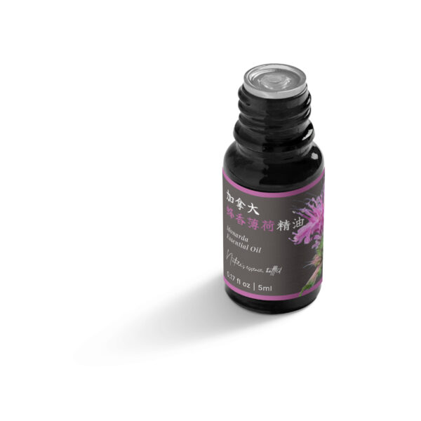 Monarda (Bee Balm) Essential Oil - Image 5