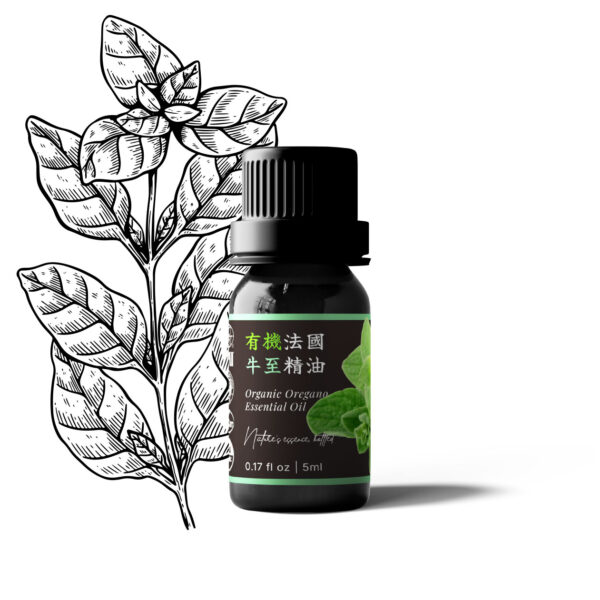 Organic Oregano Essential Oil