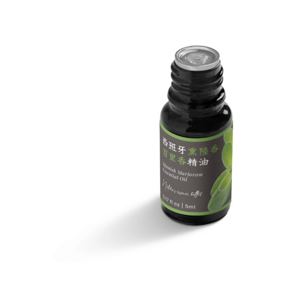 Spanish Marjoram Essential Oil - Image 7