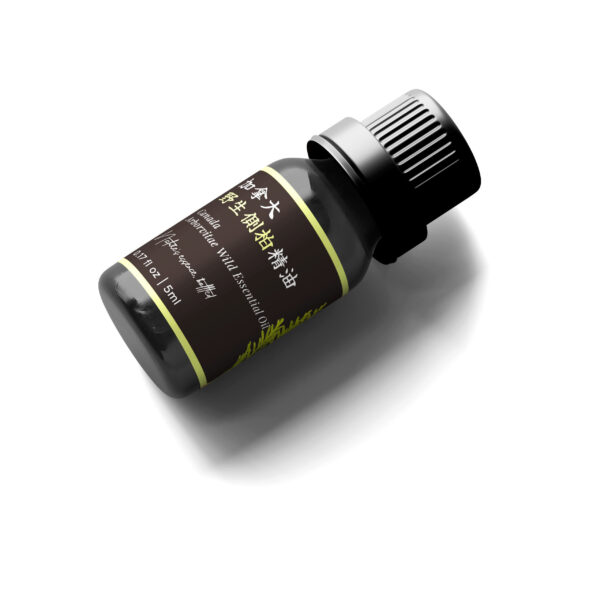 Canada Arborvitae Essential Oil - Image 4