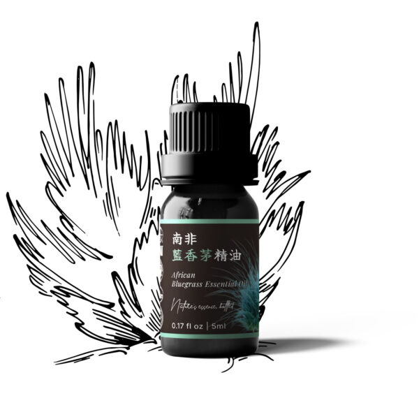 African Bluegrass Essential Oil