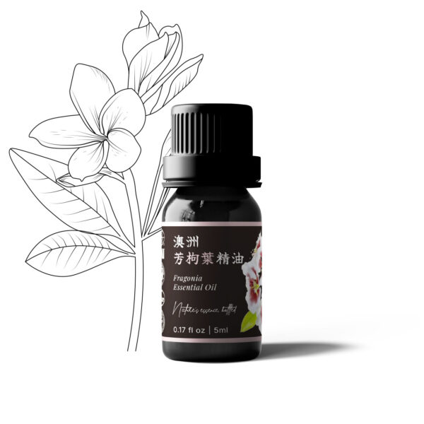 Fragonia Essential Oil