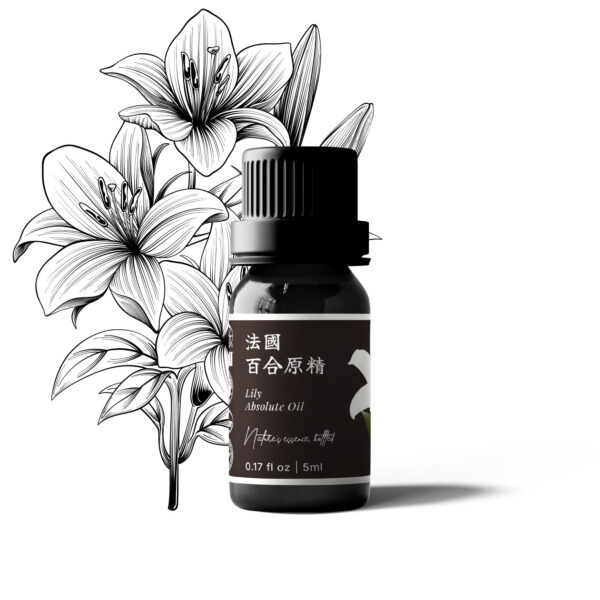 Lily Absolute Oil