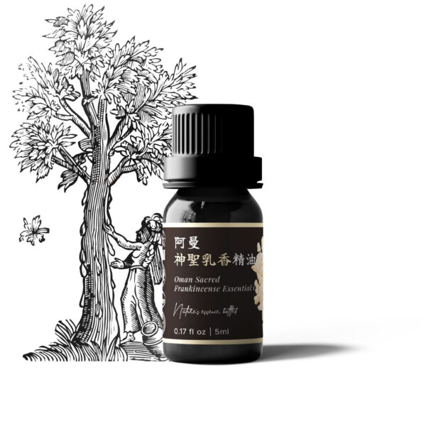 Oman Sacred Frankincense Essential Oil