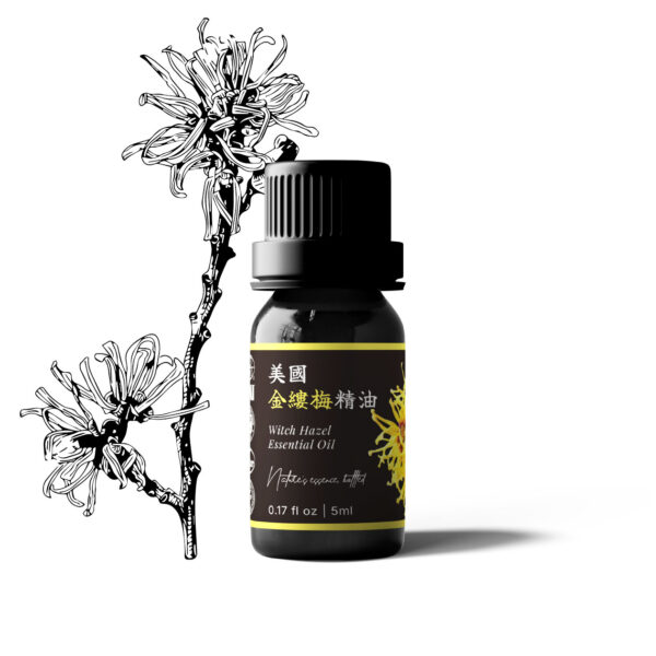 Witch Hazel Essential Oil