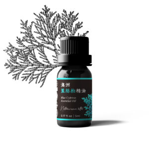 Blue Cypress Essential Oil (Australia)
