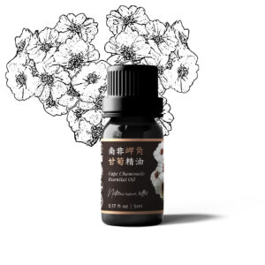 Cape Chamomile Essential Oil (South Africa)