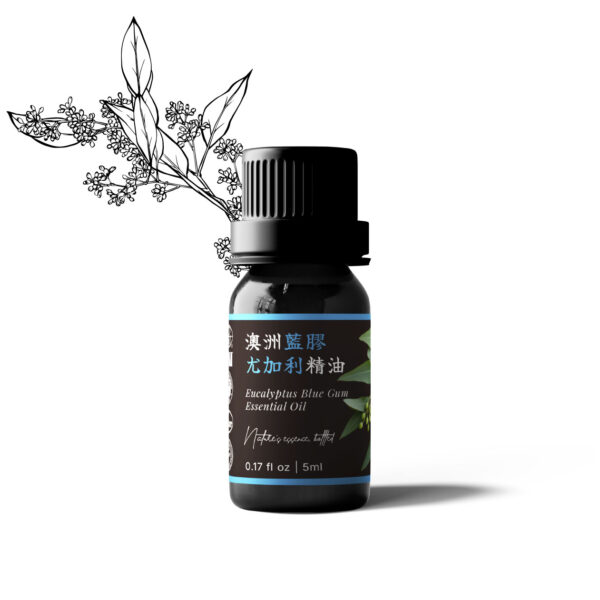 Eucalyptus Blue Gum Essential Oil (Australia)