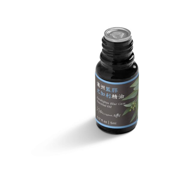 Eucalyptus Blue Gum Essential Oil (Australia) - Image 5