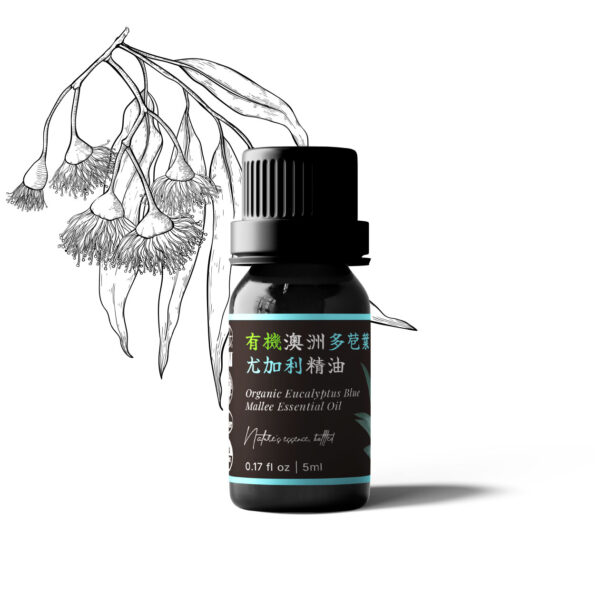 Eucalyptus Blue Mallee Organic Essential Oil (Australia)