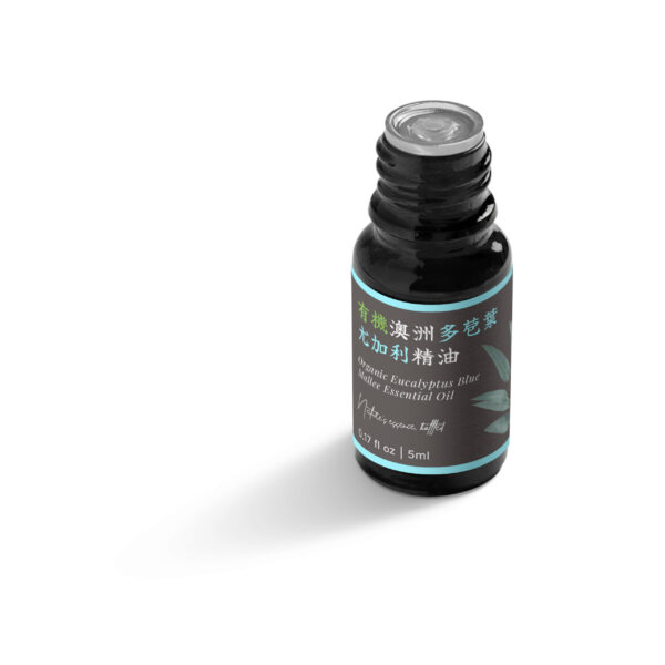 Eucalyptus Blue Mallee Organic Essential Oil (Australia) - Image 5