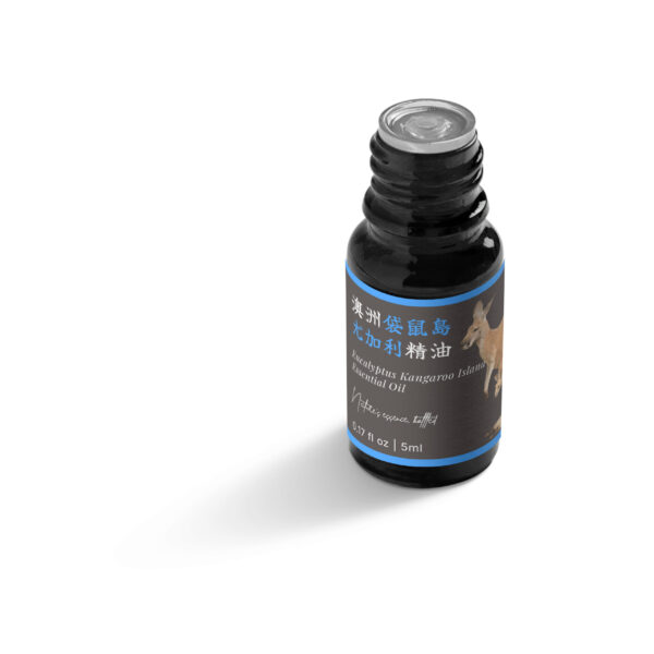 Eucalyptus Kangaroo Island Essential Oil (Australia) - Image 5