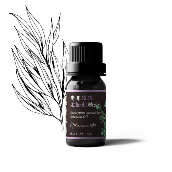 Eucalyptus Macarthurii Essential Oil (South Africa)