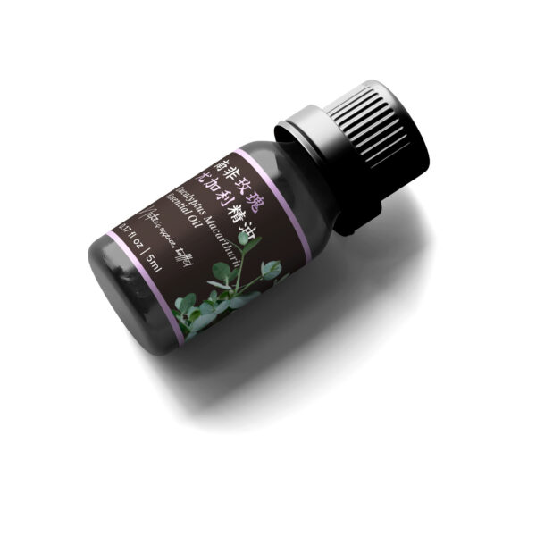 Eucalyptus Macarthurii Essential Oil (South Africa) - Image 4