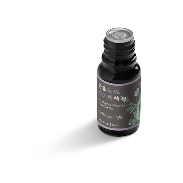 Eucalyptus Macarthurii Essential Oil (South Africa) - Image 5