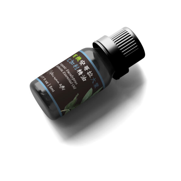 Eucalyptus Robusta Organic Essential Oil (Angola) - Image 4