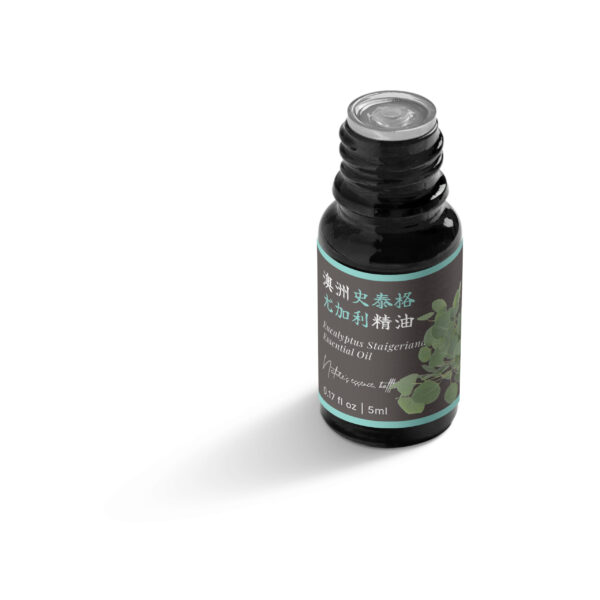 Eucalyptus Staigeriana Essential Oil (Australia) - Image 5