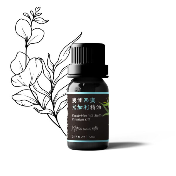 Eucalyptus WA Mallee Essential Oil (Australia)