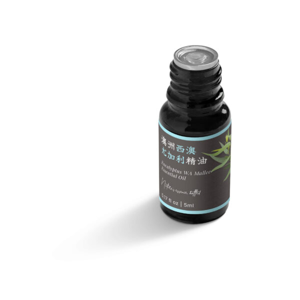 Eucalyptus WA Mallee Essential Oil (Australia) - Image 5