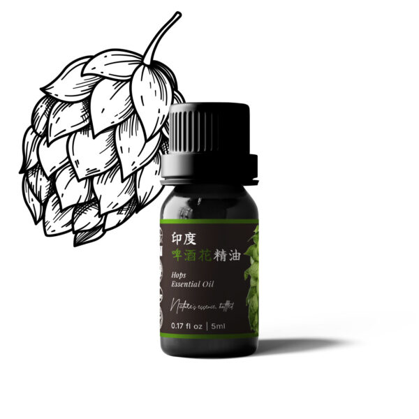 Hops Essential Oil (India)