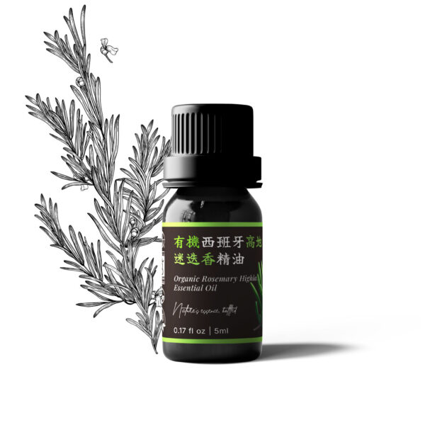Organic Rosemary Highland Essential Oil
