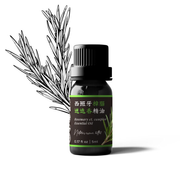 Rosemary ct. Camphor Essential Oil