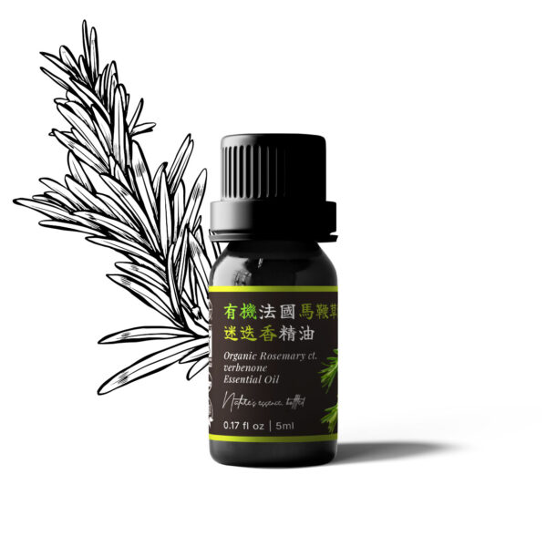 Organic Rosemary ct. Verbenone Essential Oil