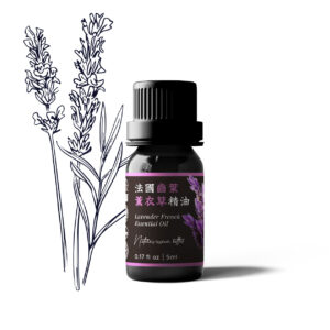Lavender French Essential Oil (France)