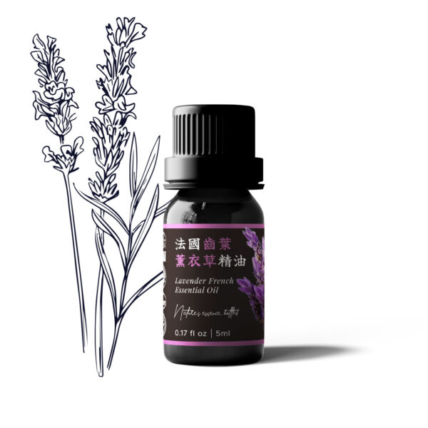 Lavender French Essential Oil (France)