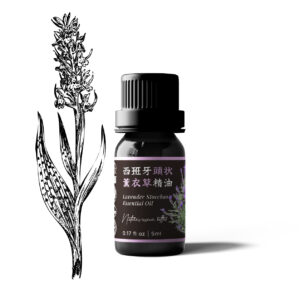 Lavender Stoechas Essential Oil (Spain)