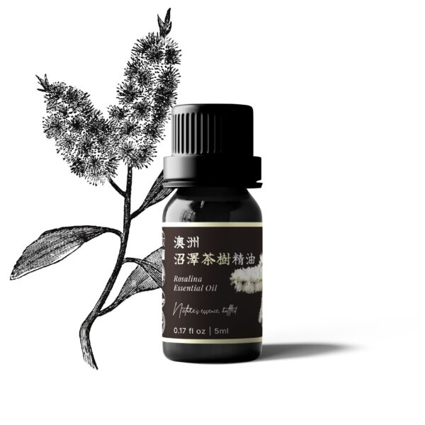 Tea Tree Rosalina Essential Oil (Australia)