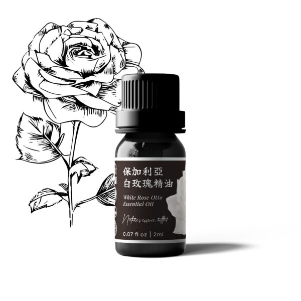 White Rose Otto Essential Oil (Bulgaria) - 2ml