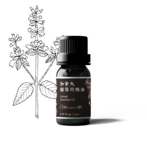 Catnip Essential Oil (Canada) -5ml 加拿大貓薄荷精油